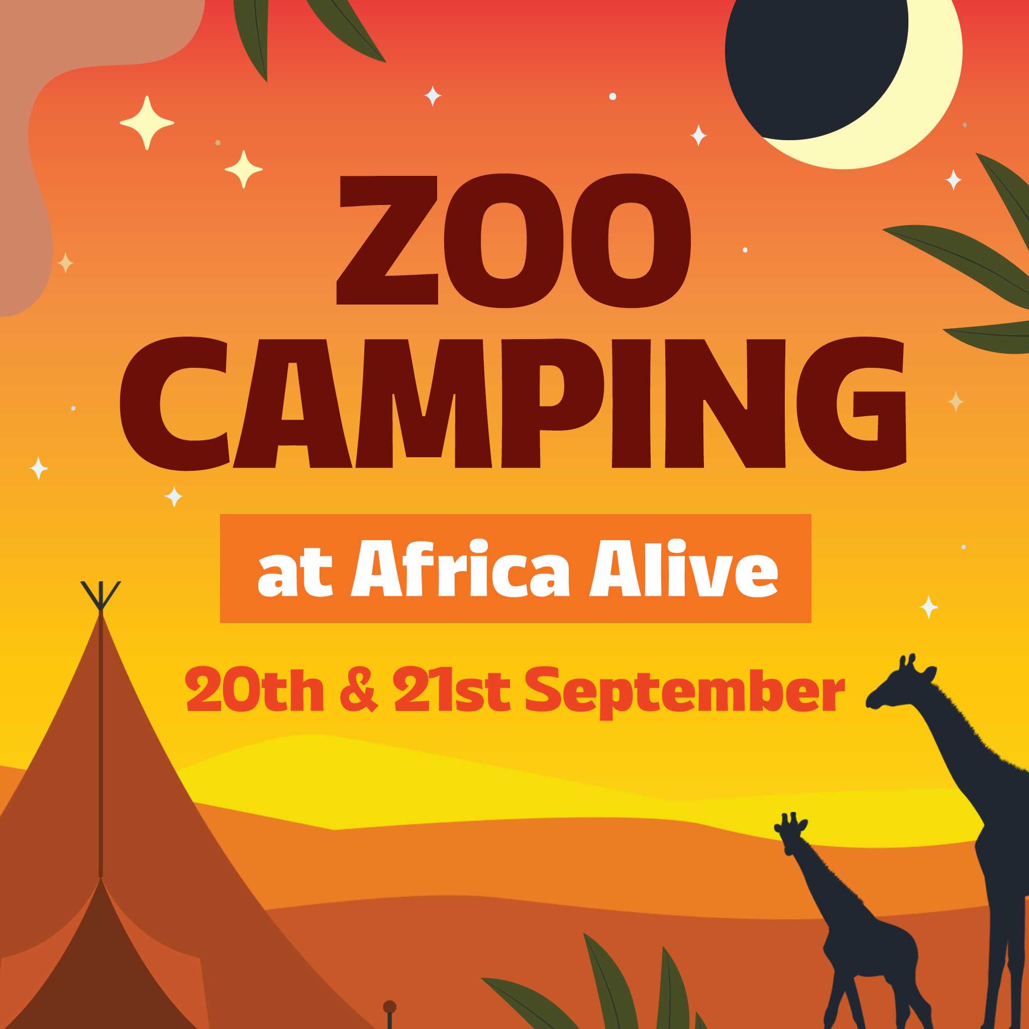 Zoo Camping at Africa Alive Image