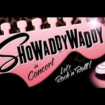 SHOWADDYWADDY LIVE IN CONCERT Image